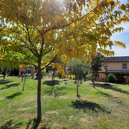 Sassomatto B&B Bioagriturelax Campogialli Ngoại thất bức ảnh