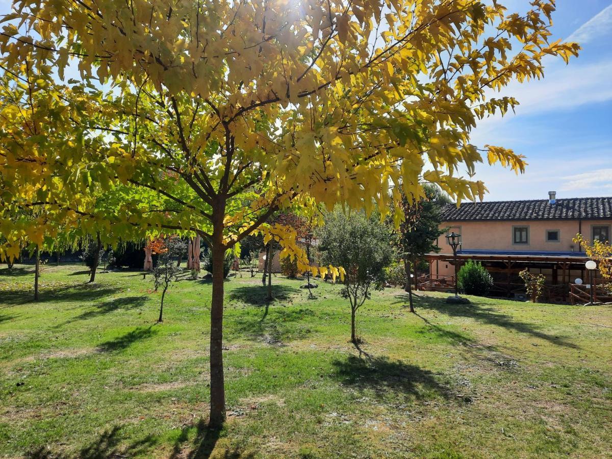 Sassomatto B&B Bioagriturelax Campogialli Ngoại thất bức ảnh