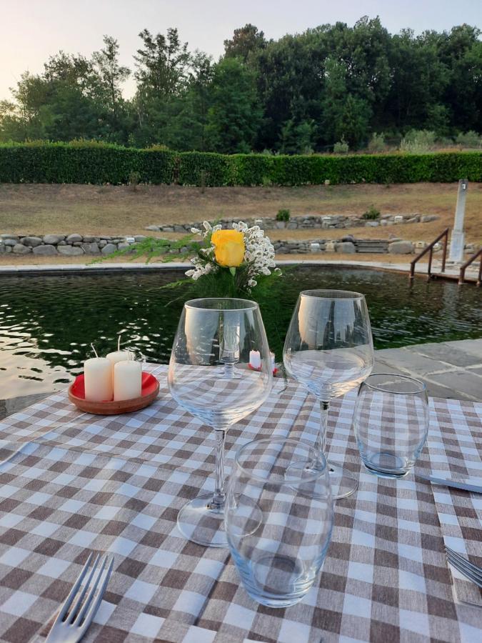 Sassomatto B&B Bioagriturelax Campogialli Ngoại thất bức ảnh